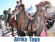 Afrika Tage im Olympaipark München (Foto: Martin Schmitz)